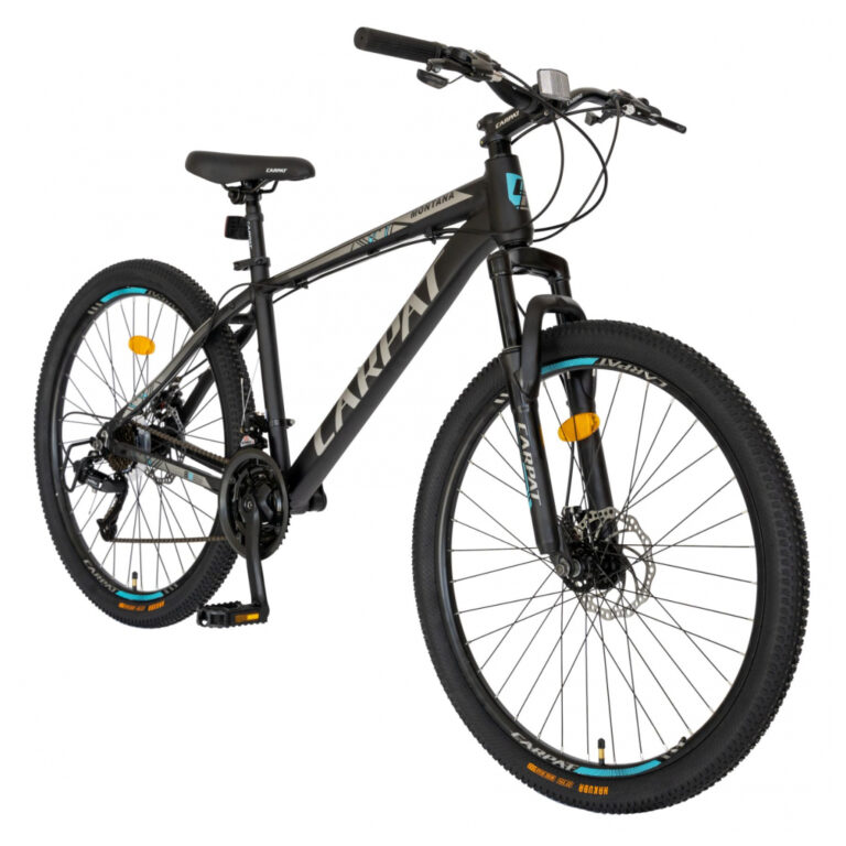 BICICLETE