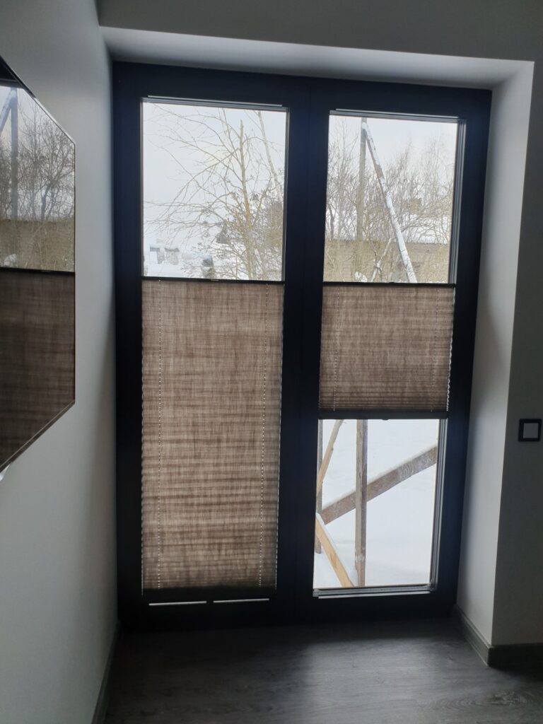 A_plise_zaluzijas