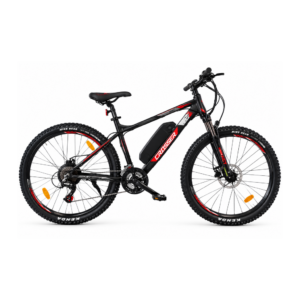 Bicicletă electrică